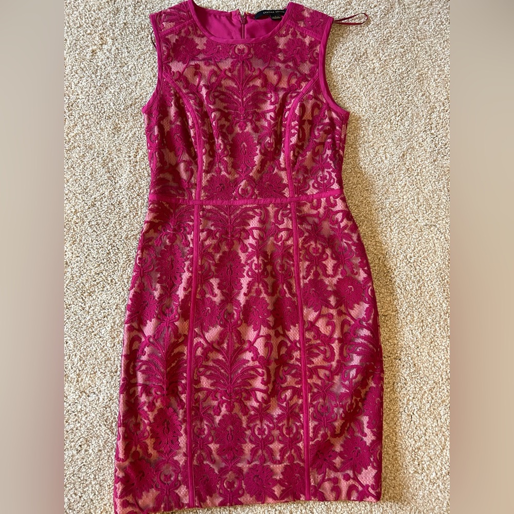 Cynthia Steffe Pink Lace Dress